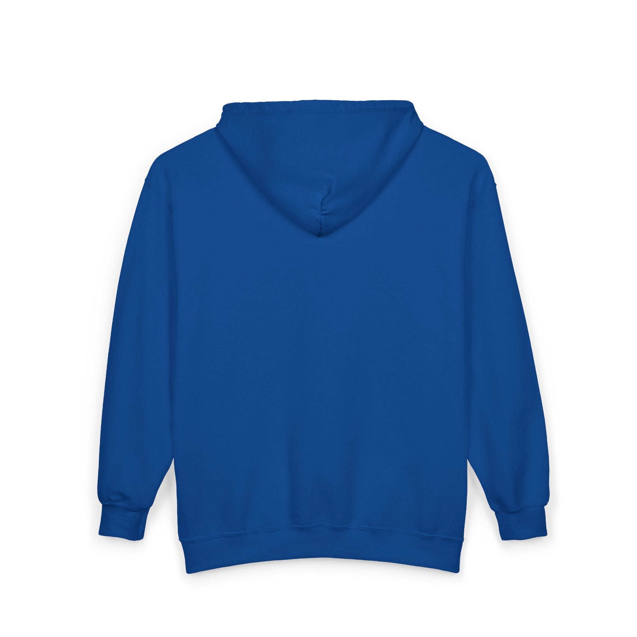 Vertical “Ctrl + Z My Life” Full‑Zip Hoodie — Funny Tech Recovery Zip-Up